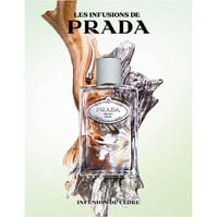 Infusion de Cèdre  100ml-154056 Infusion de Cèdre  100ml-154056 3